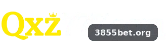 3855bet visual principal